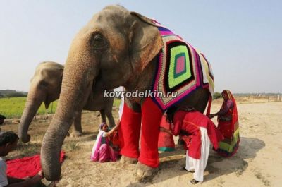 Одежда для индийского слона, покрывало для слона, чтобы слон не замерз