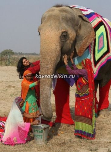 Одежда для индийского слона, покрывало для слона, чтобы слон не замерз